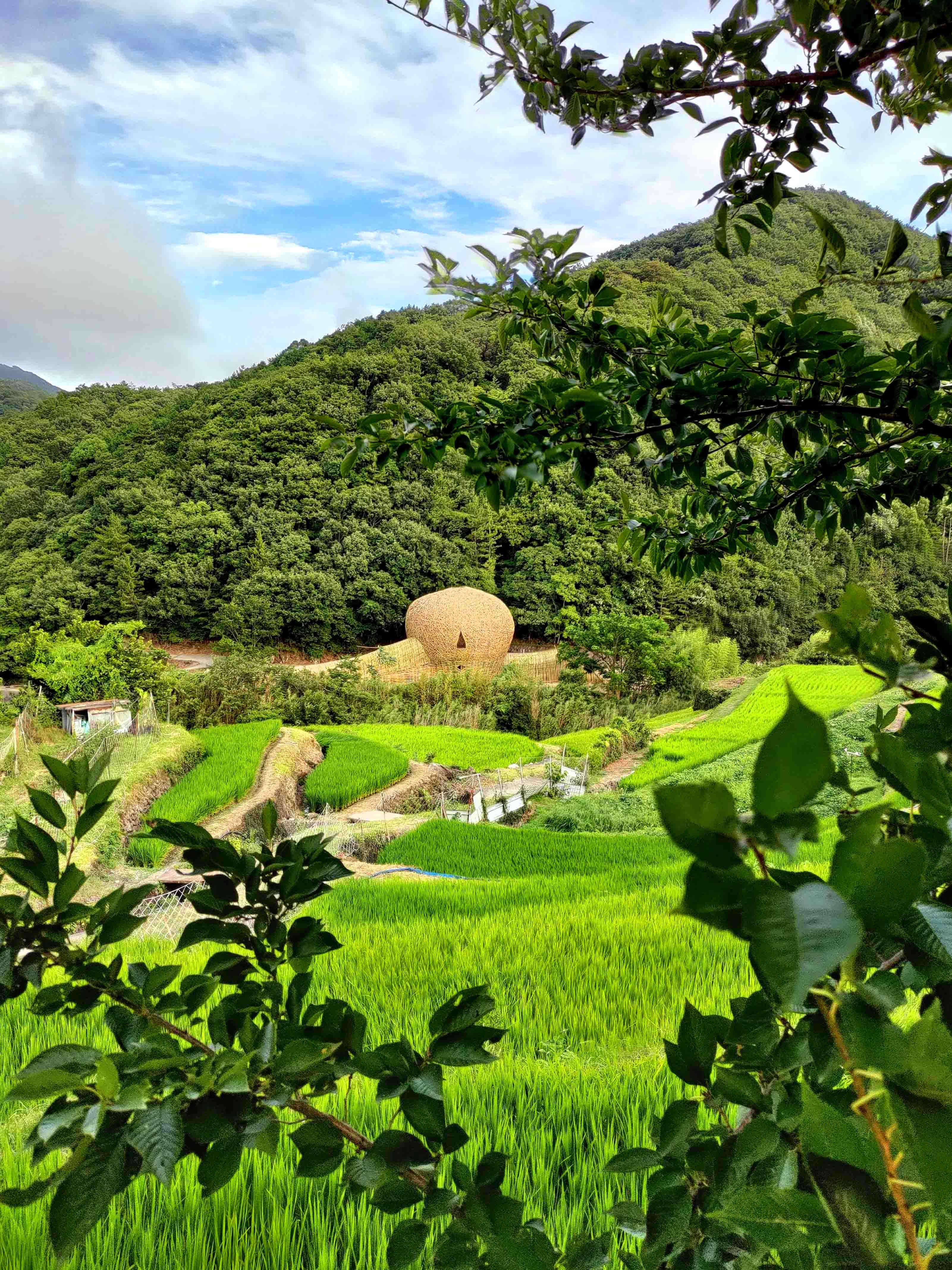 幼葉林藝術創作工作室的圖片